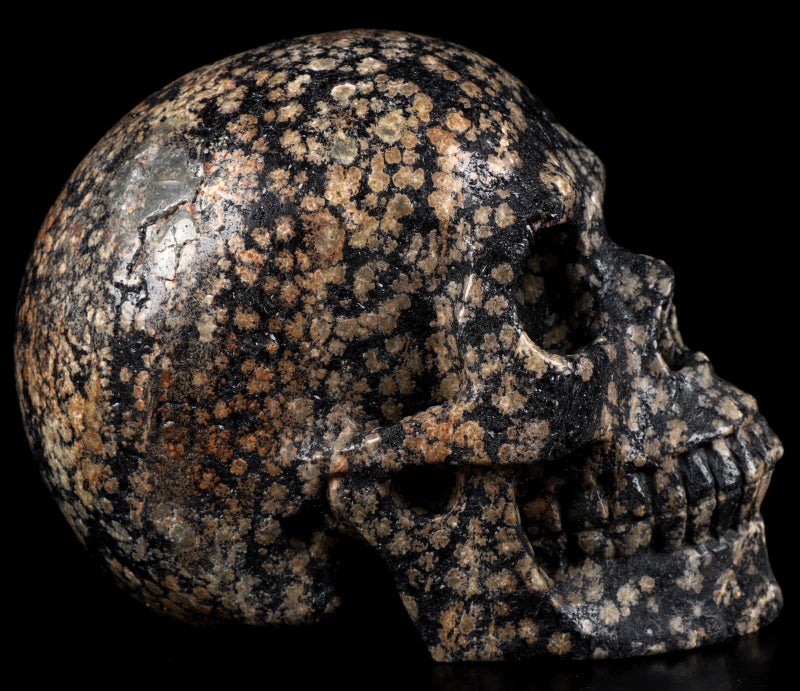 Skullis Skullis 5.0"" Snowflake Obsidian Carved Crystal Skull  Hand Carved Gemstone Fine Art Sculpture  Reiki Healing Stone Statue.1397 Z8  - Image 4