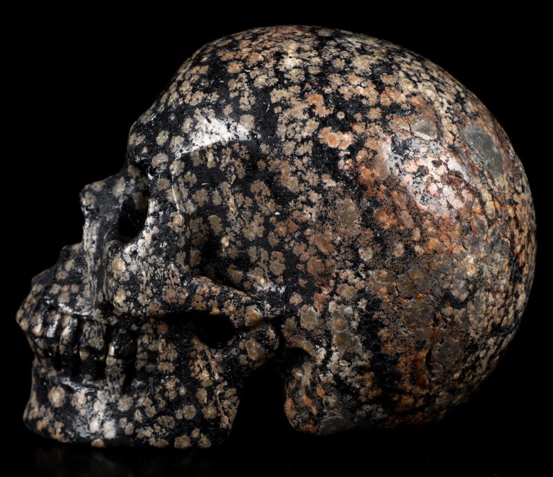Skullis Skullis 5.0"" Snowflake Obsidian Carved Crystal Skull  Hand Carved Gemstone Fine Art Sculpture  Reiki Healing Stone Statue.1397 Z8  - Image 3