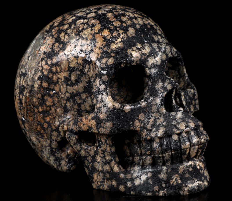 Skullis Skullis 5.0"" Snowflake Obsidian Carved Crystal Skull  Hand Carved Gemstone Fine Art Sculpture  Reiki Healing Stone Statue.1397 Z8  - Image 1