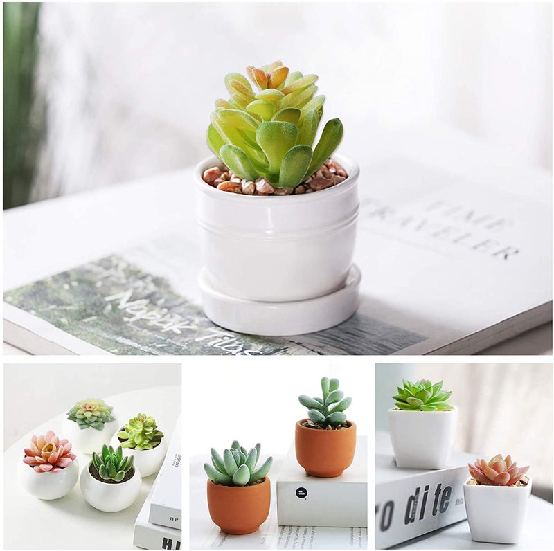 HappyHapi 12 Pcs Artificial Succulents Mini Fake Plants Unpotted Faux Succulent for Craft, Small Plastic Succulents Assortment in Flocked Green Floral Decor for Party, Cake, Garden & Outdoor - Image 5