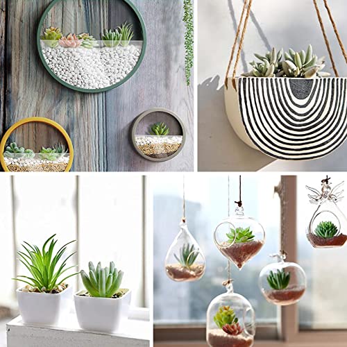 HappyHapi 12 Pcs Artificial Succulents Mini Fake Plants Unpotted Faux Succulent for Craft, Small Plastic Succulents Assortment in Flocked Green Floral Decor for Party, Cake, Garden & Outdoor - Image 4
