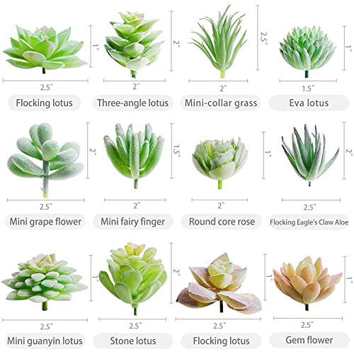 HappyHapi 12 Pcs Artificial Succulents Mini Fake Plants Unpotted Faux Succulent for Craft, Small Plastic Succulents Assortment in Flocked Green Floral Decor for Party, Cake, Garden & Outdoor - Image 2