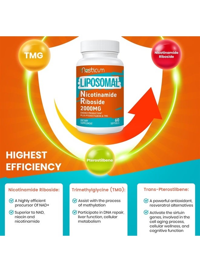 Aesticum 2000 MG Liposomal Nicotinamide Riboside Supplement, High Absorption, NAD+ Boosting Supplement with TMG and Pterostilbene, Superior to Niacinamide for Cellular Energy, and Age Resist, 60 Softgels - Image 5