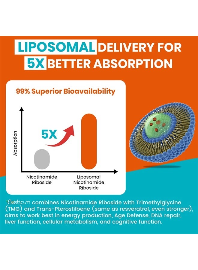 Aesticum 2000 MG Liposomal Nicotinamide Riboside Supplement, High Absorption, NAD+ Boosting Supplement with TMG and Pterostilbene, Superior to Niacinamide for Cellular Energy, and Age Resist, 60 Softgels - Image 4