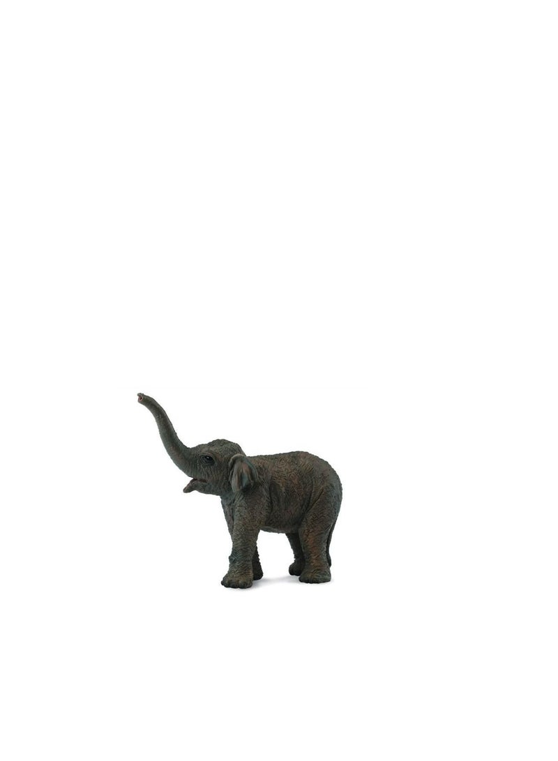 CollectA Asian Elephant Calf
