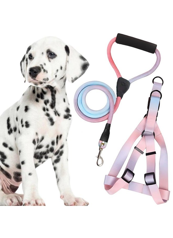 Sage Square Dog Rainbow Harness & Leash, Comfortable And Stylish Pet Walking Accessories For Dogs, Vibrant Coloured Harness, Easy-To-Use Leash, Stylish Leash, Pet Safety, Reliable Pet Control Products  - Image 1