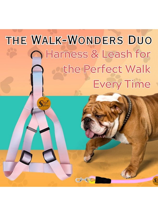 Sage Square Dog Rainbow Harness & Leash, Comfortable And Stylish Pet Walking Accessories For Dogs, Vibrant Coloured Harness, Easy-To-Use Leash, Stylish Leash, Pet Safety, Reliable Pet Control Products  - Image 2