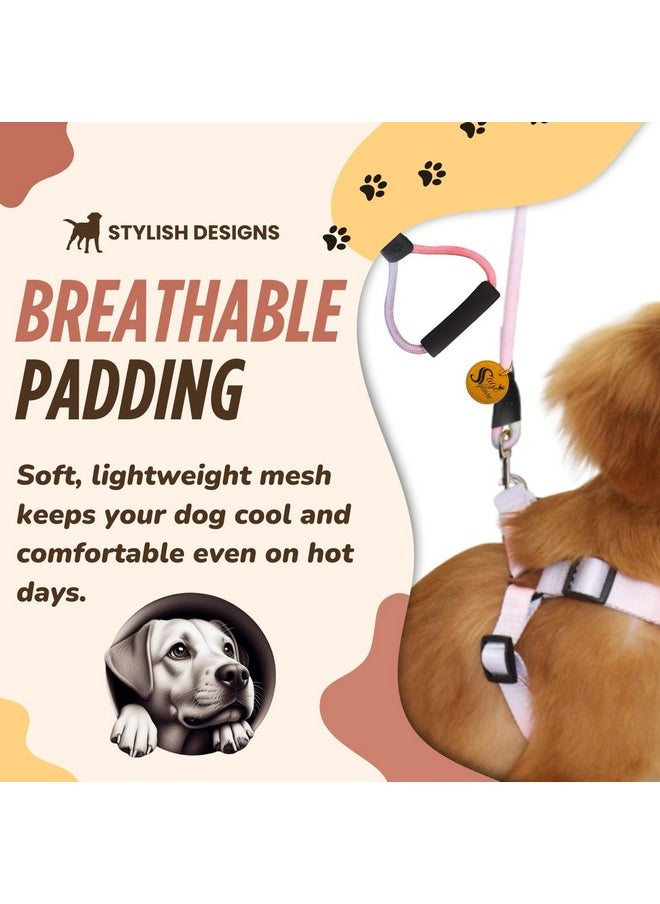 Sage Square Dog Rainbow Harness & Leash, Comfortable And Stylish Pet Walking Accessories For Dogs, Vibrant Coloured Harness, Easy-To-Use Leash, Stylish Leash, Pet Safety, Reliable Pet Control Products  - Image 3