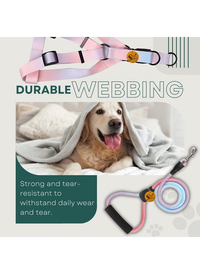 Sage Square Dog Rainbow Harness & Leash, Comfortable And Stylish Pet Walking Accessories For Dogs, Vibrant Coloured Harness, Easy-To-Use Leash, Stylish Leash, Pet Safety, Reliable Pet Control Products  - Image 5
