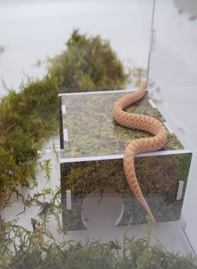 Begeterday Corn Snake Hide, Suitable for Subadult Corn Snakes Aged 1-2 Years, Snake Tank Accessories - Image 4