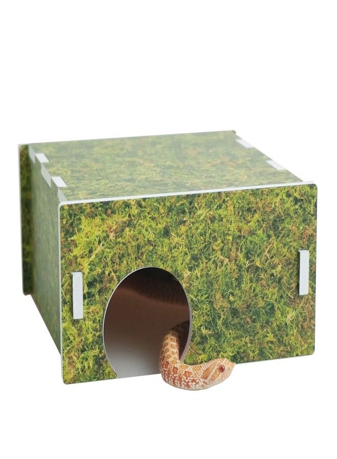 Begeterday Corn Snake Hide, Suitable for Subadult Corn Snakes Aged 1-2 Years, Snake Tank Accessories - Image 1