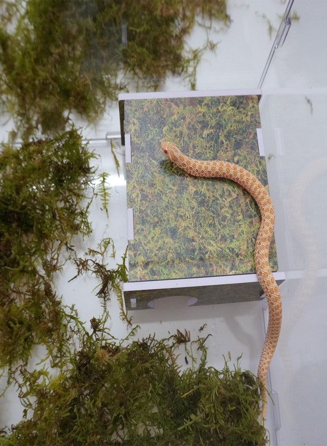 Begeterday Corn Snake Hide, Suitable for Subadult Corn Snakes Aged 1-2 Years, Snake Tank Accessories - Image 5