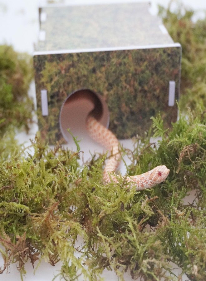 Begeterday Corn Snake Hide, Suitable for Subadult Corn Snakes Aged 1-2 Years, Snake Tank Accessories - Image 3