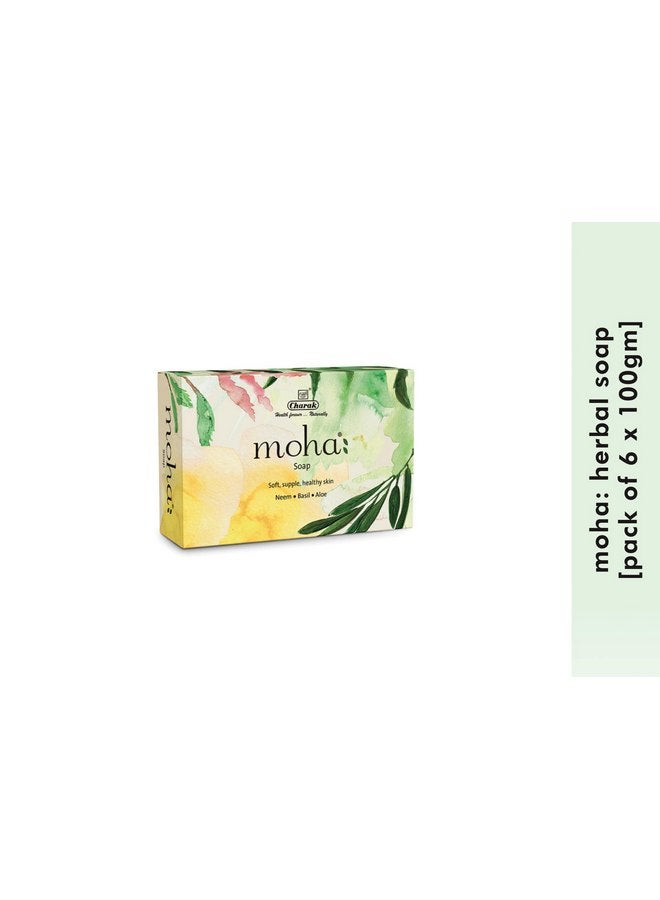 موها: صابون عشبي منظف طبيعي للوجه والجسم! يحتوي على جل الصبار والريحان والنيم المستخدم كصابون استحمام، صابون للوجه والجسم، صابون استحمام للجنسين - 100 جرام لكل قطعة (عبوة من 6 قطع) - Image 2