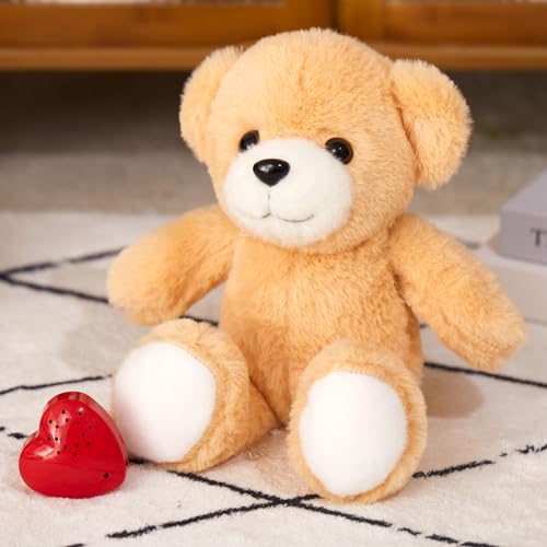 CozyWorld دب محشو قابل للتسجيل بحجم 12 بوصة من كوزي وورلد، لعبة دمية ناعمة مع مسجل صوت، هدايا تسجيل الرسائل وتشغيلها للأطفال في عيد الميلاد ويوم الطفل - Image 4