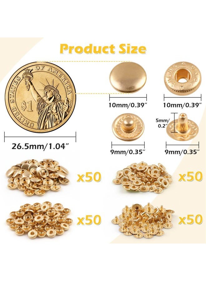 PECMER 50 Sets Snap Fasteners Kit 10mm Metal Snap Buttons Kit Leather Fasteners for Craft Sewing Clothes Leather Bracelets Belt Jackets Bags -200 Pcs Pale Gold - Image 2