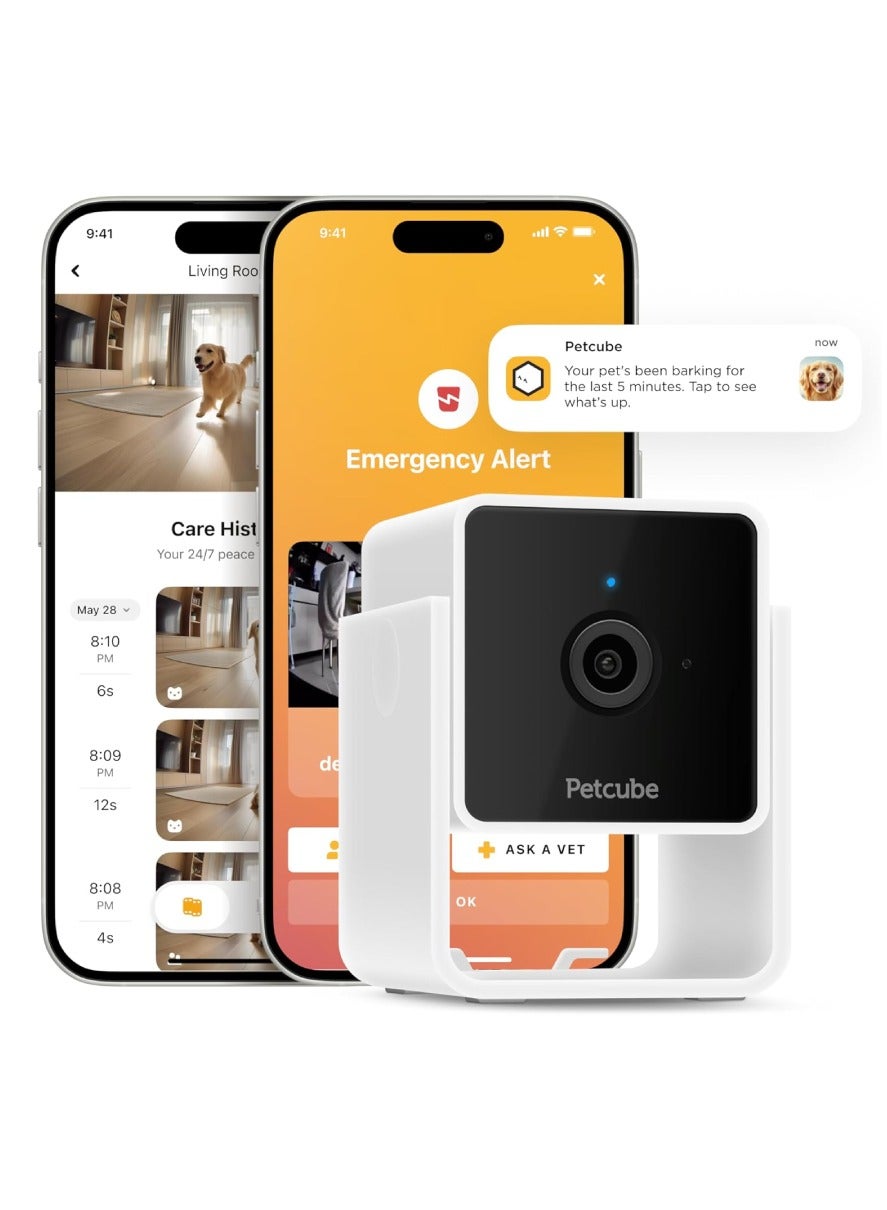 petcube Petcube Cam