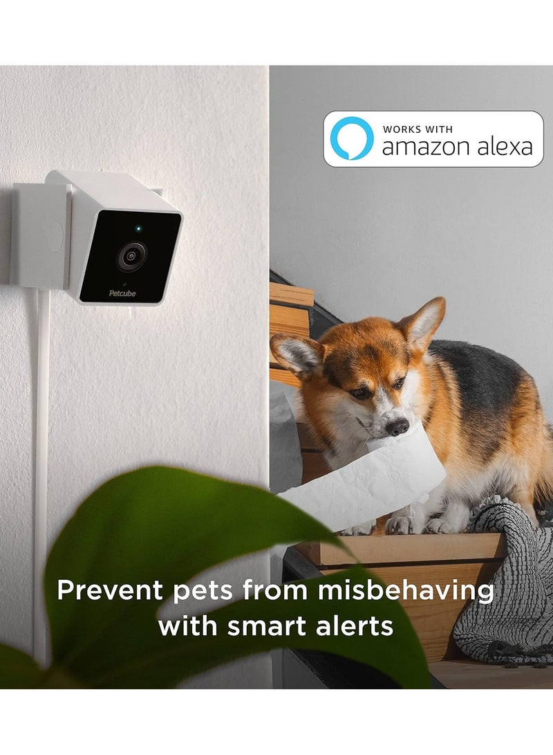 Petcube كام | كاميرا حيوانات أليفة ذكية بدعم الذكاء الاصطناعي بدقة HD، زاوية عرض 110°، صوت ثنائي الاتجاه - شاهد وتحدث مع حيوانك الأليف من أي مكان، رؤية ليلية، إعداد سهل، متوافقة مع أليكسا، أندرويد و iOS - أبيض - Image 3