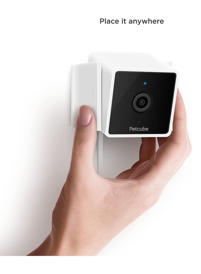 Petcube كام | كاميرا حيوانات أليفة ذكية بدعم الذكاء الاصطناعي بدقة HD، زاوية عرض 110°، صوت ثنائي الاتجاه - شاهد وتحدث مع حيوانك الأليف من أي مكان، رؤية ليلية، إعداد سهل، متوافقة مع أليكسا، أندرويد و iOS - أبيض - Image 4
