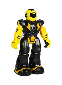 RC Gesture Sensing Robot Singing Dancing Toy