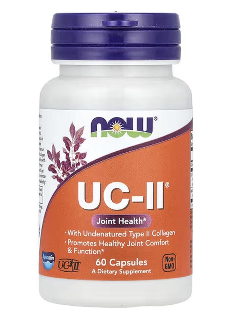 ناو فودز مكمل UC-II غني بالكولاجين نوع II - 60 كبسولة نباتية - Image 1