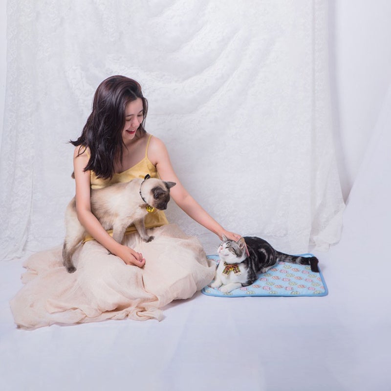 Universal Pet Floor Pad Sleeping Mat Puppy Indoor Cooling Cushion - Image 2