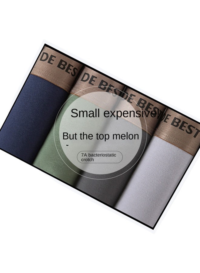 Top melon Cotton Antibacterial Crotch】4 Pairs Of Light Luxury Thin Breathable Men's Underwear For Teen Boys, Boxer Briefs - Image 2