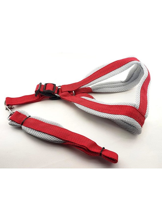 حزام ومقود مبطنان من شبكة الكلاب من Pups&Pets | حزام صدرية من النايلون الناعم القابل للتعديل للمشي في الهواء الطلق | مجموعة حزام ومقود للكلاب المتوسطة والكبيرة (أحمر) - Image 1