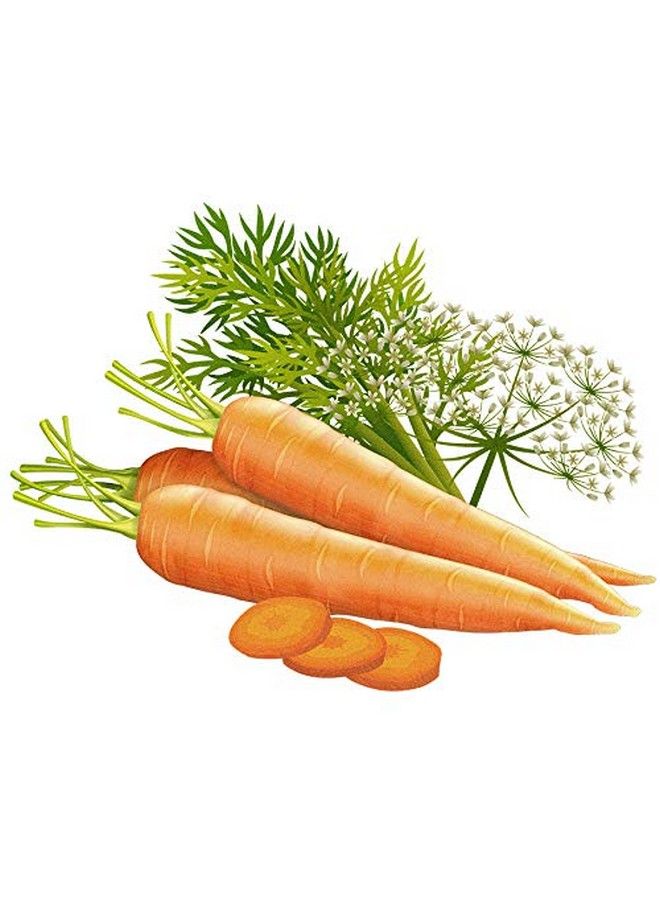 Biotique زيت الجسم المضاد للشيخوخة من بذور الجزر بعد الاستحمام 120 مل (عبوة من 2) - Image 5