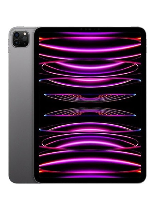 Apple iPad Pro 2022 (4th Gen) 11 inch Space Gray 2TB 5G - Middle East Version - Image 1