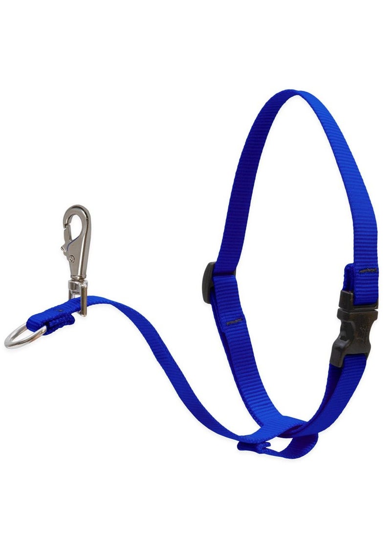 Dog Basic Solids No Pull Harness Belt Blue
