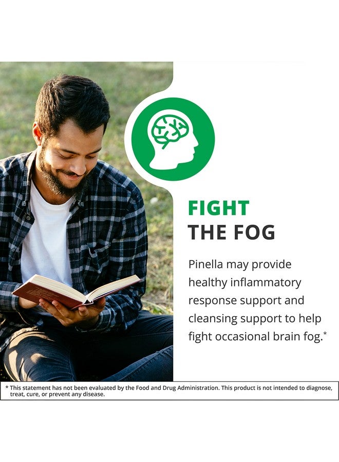 NutraMedix Pinella - Liquid Anise Drops to Help Support Detox, Cleansing, Concentration & Brain Health - Pimpinella Anisum Extract May Help to Fight Occasional Brain Fog (1 oz / 30 ml) - Image 3