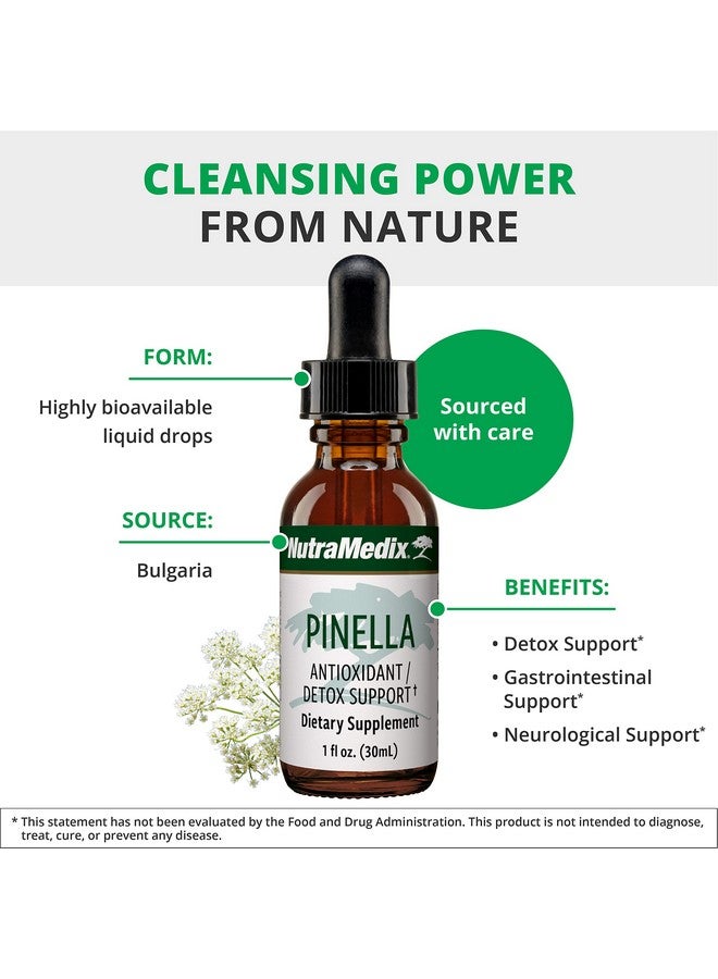 NutraMedix Pinella - Liquid Anise Drops to Help Support Detox, Cleansing, Concentration & Brain Health - Pimpinella Anisum Extract May Help to Fight Occasional Brain Fog (1 oz / 30 ml) - Image 4