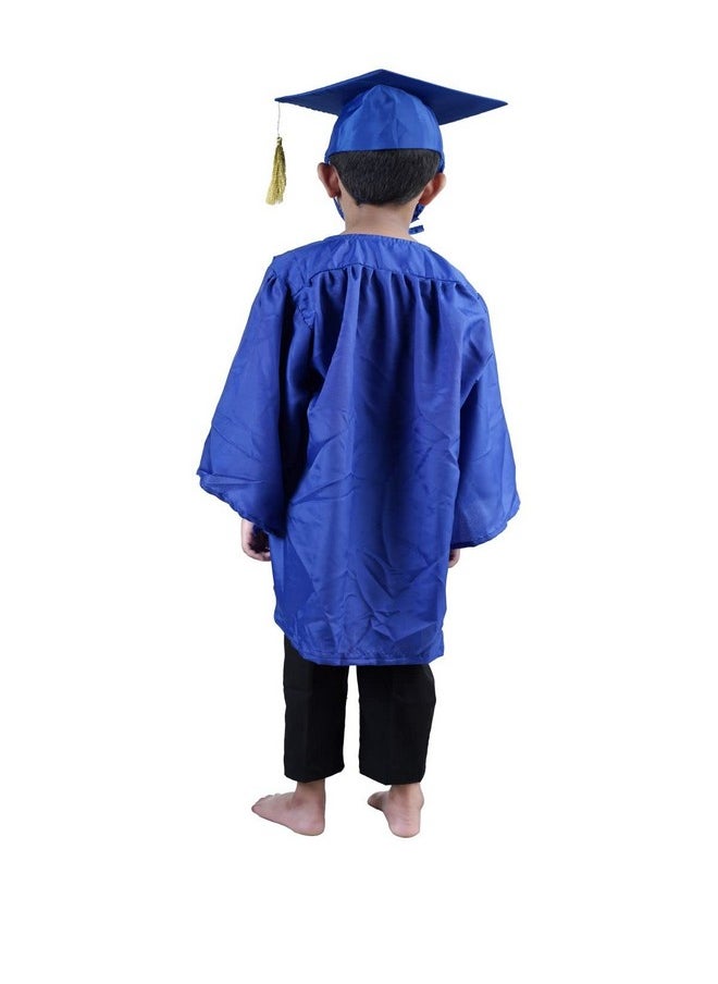 بوك ماي كوستيوم فستان حفل التخرج الأزرق من BookMyCostume، زي تنكري للأطفال والكبار، مناسب للأطفال من عمر سنتين إلى ثلاث سنوات  - Image 3