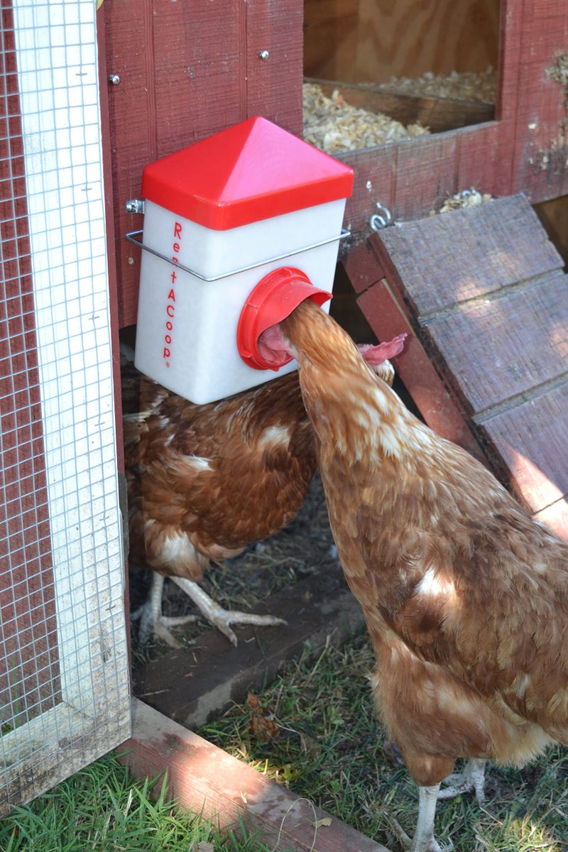 RentACoop Chick2Chicken 2.5lb BPA-Free Single-Port Feeder - Includes Anti-Roost Lid, Slider Port Cover, and Wire Bracket - Suitable for Quail, Pigeons, Doves, Chicks, and Adult Chickens - Image 5