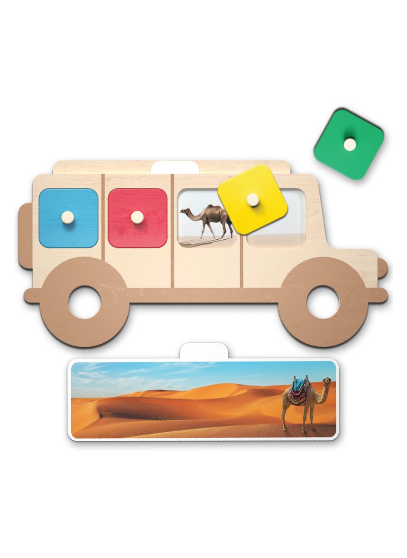 Safari Discovery