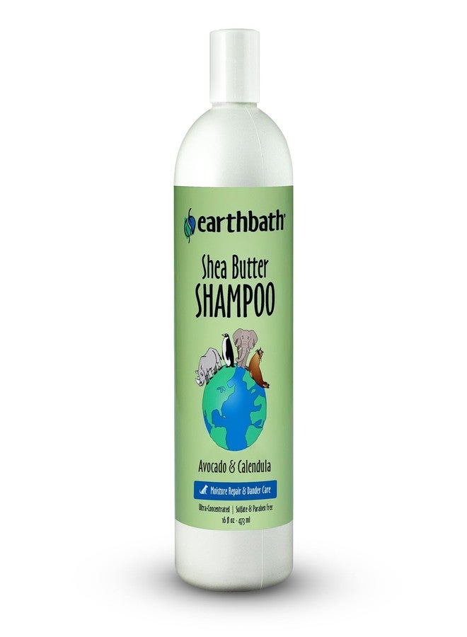 earthbath, Ultra-Moisturizing Shea Butter Shampoo - Dog & Cat Shampoo, Plant-Based, Cruelty-Free, Vegan, Gluten-Free, Non-GMO, Made in USA, Avocado and Calendula - 16 Oz (1 Pack) - Image 1
