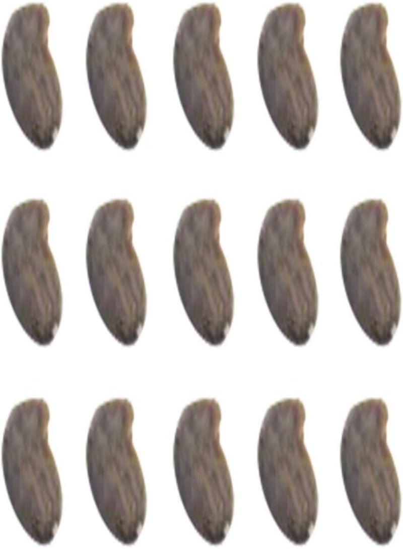 GGOOT 100Pcs/Bag Venus Flytrap Seeds Full Sun Carnivorous Acidic Soil Bonsai Garden Dionaea Muscipula Seeds for Home - Dionaea Seeds - Image 5