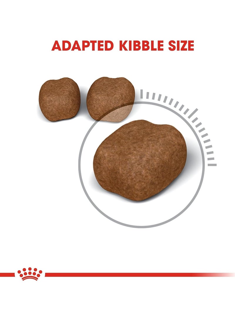 رويال كانين للعناية بالأسنان والتغذية للقطط 1.5 كجم - Image 3