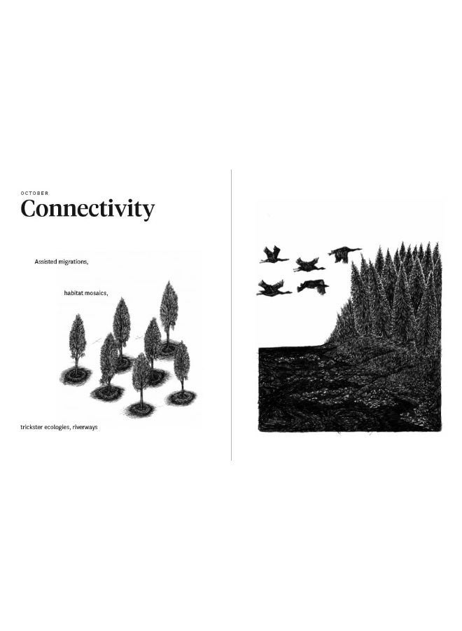 The New Farmer's Almanac, Volume VI: Adjustments and Accommodations - Image 2