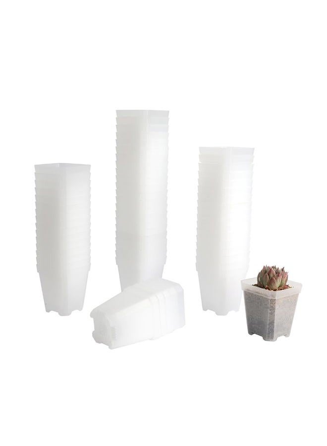 BangQiao 60 Pack Small 2.70 Inch Plastic Square Nursery Pot, Plant Starting and Transplant Planter Container with Drainage Hole for Seed Germination, Clear - Image 1