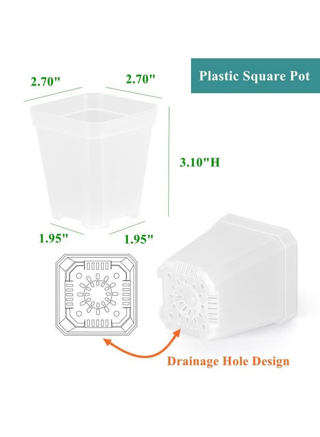 BangQiao 60 Pack Small 2.70 Inch Plastic Square Nursery Pot, Plant Starting and Transplant Planter Container with Drainage Hole for Seed Germination, Clear - Image 2
