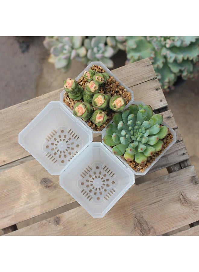 BangQiao 60 Pack Small 2.70 Inch Plastic Square Nursery Pot, Plant Starting and Transplant Planter Container with Drainage Hole for Seed Germination, Clear - Image 3
