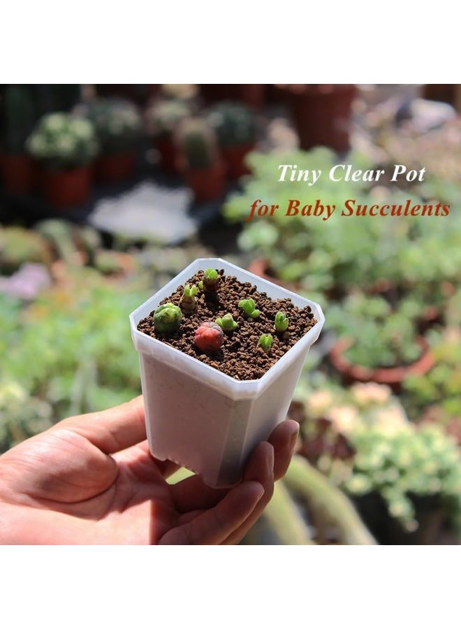 BangQiao 60 Pack Small 2.70 Inch Plastic Square Nursery Pot, Plant Starting and Transplant Planter Container with Drainage Hole for Seed Germination, Clear - Image 5