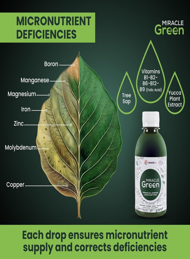 Miracle Lab Miracle Green Fast-Acting Liquid Fertilizer- Special Formula with Tree Sap & Yucca Plant Extract - All-Purpose Fertilizer for Houseplants, Flowers, Fruits, Vegetables & Trees (8 oz Plant Food) - Image 4