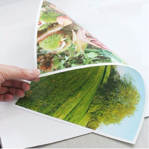 True-Ally A4 Resin Coated Water-Proof Double Sided Glossy Inkjet Photo Paper Size - 8.5x11 Inches, 254 GSM (A4 - (20 Sheets)) - Image 2