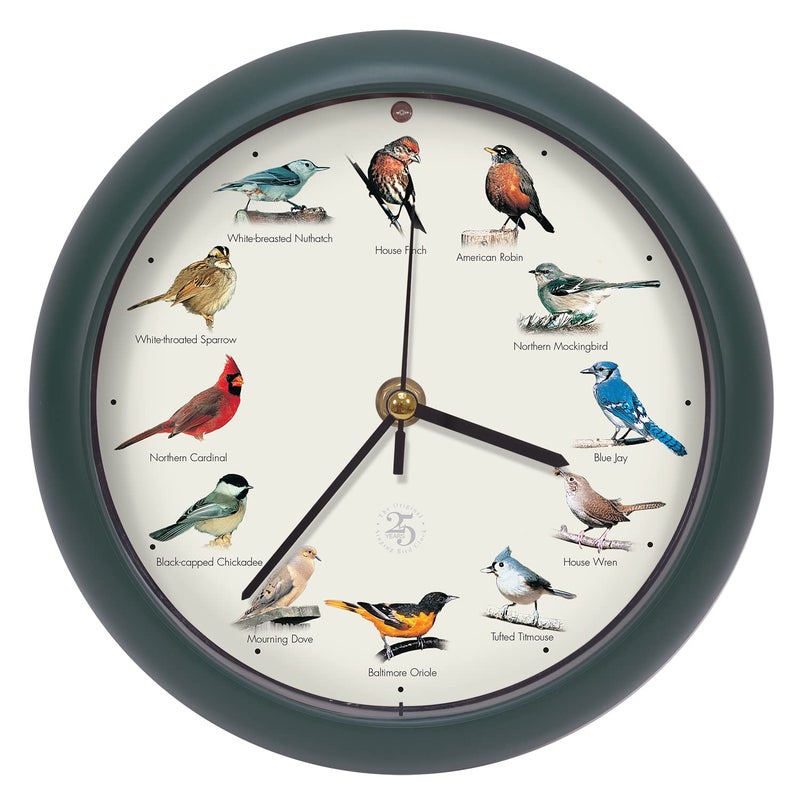 Mark Feldstein & Associates Mark Feldstein, The Original Singing Bird Clock, 25th Anniversary Edition, 8 Inch, Green - Image 1