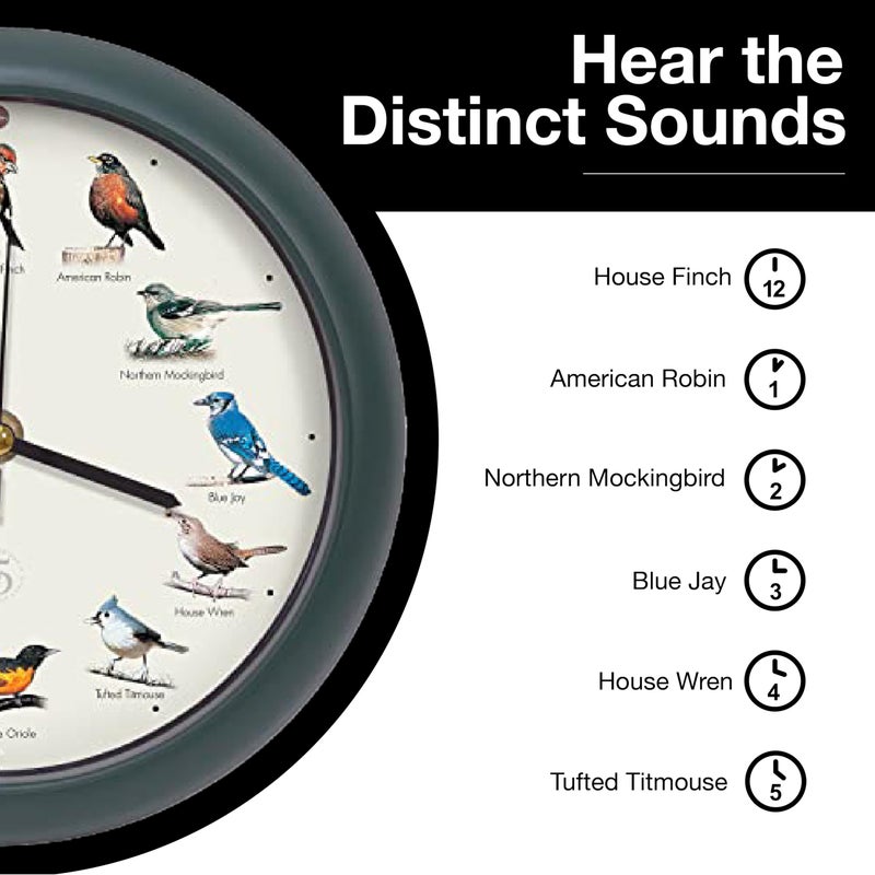 Mark Feldstein & Associates Mark Feldstein, The Original Singing Bird Clock, 25th Anniversary Edition, 8 Inch, Green - Image 5