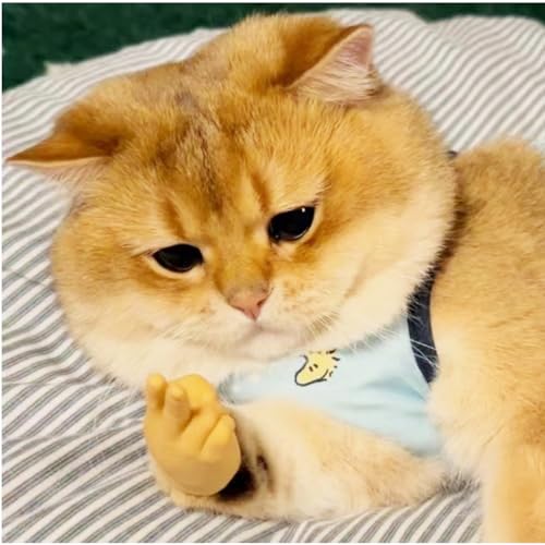 fnqiank أيدي صغيرة مصغرة للقطط 10 قطع - Image 5