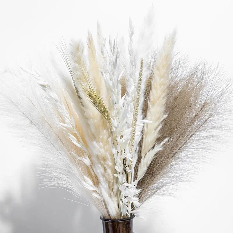 Bluejw Pampas Grass Bouquet - Dried Flowers, Bunny Tails, Gypsophilia, Sword Fern, Italian Ruscus, Straw, Natural Dried Plants - Boho Decor, Babies Breath - Opp Bag - Image 1